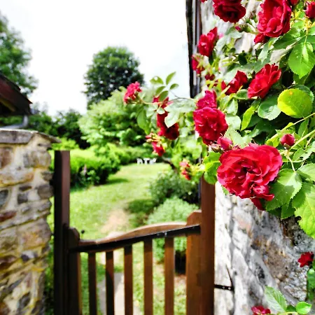 Picturesque Holiday In Vielsalm By The Forest Holiday home *
